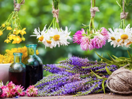 Разкриха 12-те златни билки на ненадминатия лечител Петър Димков Разкриха-12-те-златни-билки-на-ненадминатия-лечител-Петър-Димков