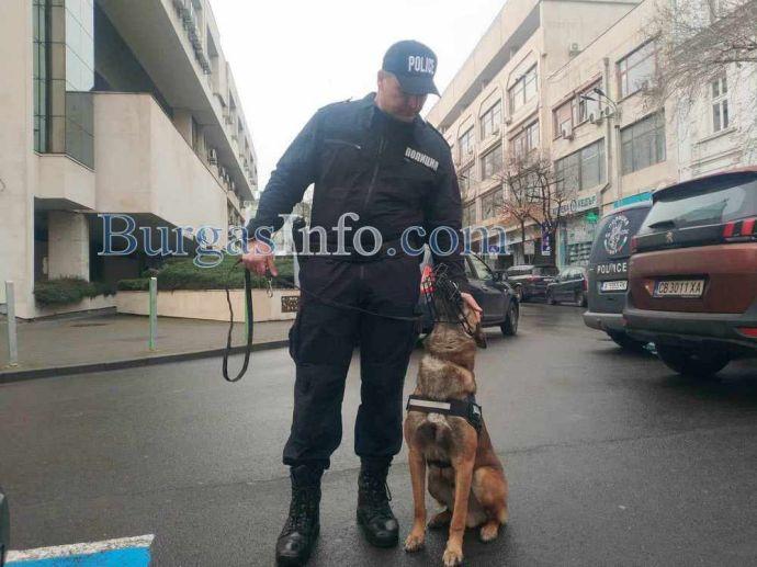 Аякс и Дарк пазят улиците в центъра на Бургас от днес, обучени са да следят за обществения ред (СНИМКИ и ВИДЕО) 4 25D0 25BA 25D1 2583 25D1 2587 25D0 25B52