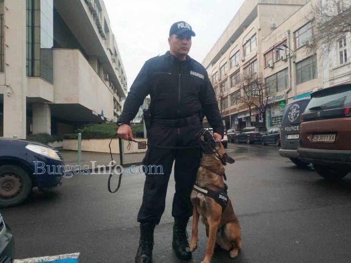 Аякс и Дарк пазят улиците в центъра на Бургас от днес, обучени са да следят за обществения ред (СНИМКИ и ВИДЕО) 5 25D0 25BA 25D1 2583 25D1 2587 25D0 25B53