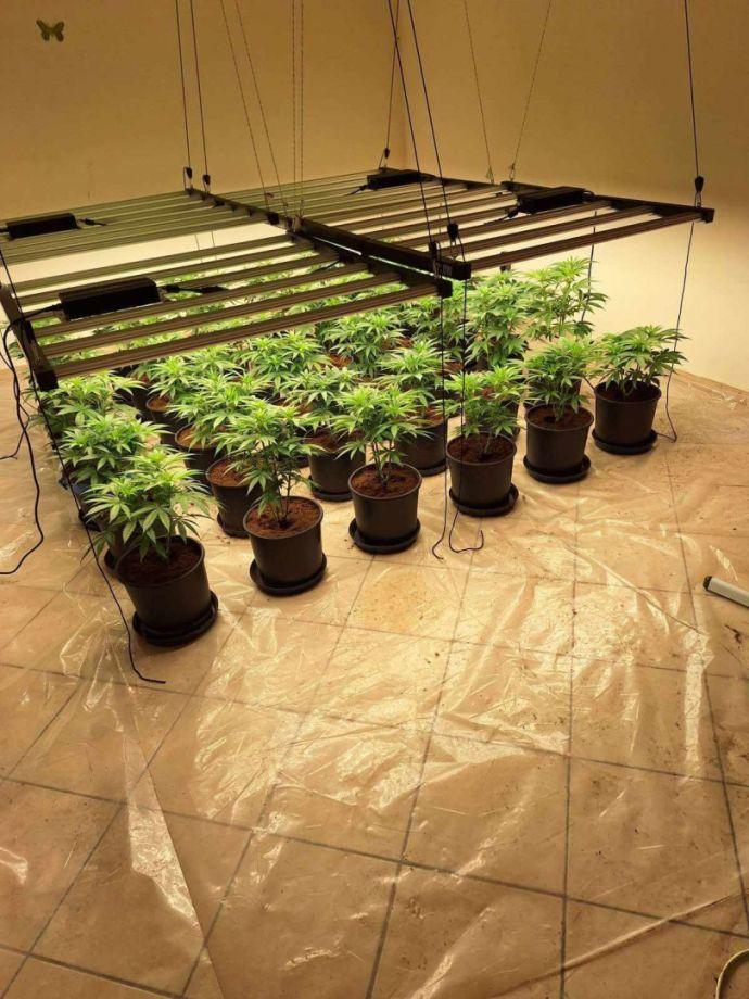 Ударът срещу дрогата в Слънчев бряг: Два етажа от хотел „Мегас“ са изпразнени, за да се превърнат в модерна оранжерия за марихуана (СНИМКИ) 3 25D0 25BD 25D0 25B0 25D1 2580 25D0 25BA 25D0 25BE4