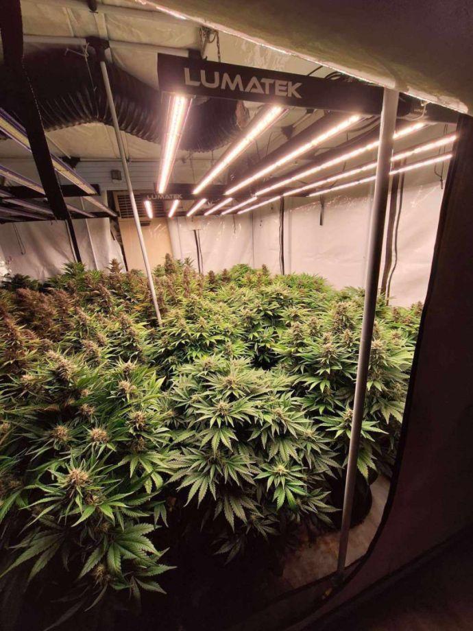 Ударът срещу дрогата в Слънчев бряг: Два етажа от хотел „Мегас“ са изпразнени, за да се превърнат в модерна оранжерия за марихуана (СНИМКИ) 2 25D0 25BD 25D0 25B0 25D1 2580 25D0 25BA 25D0 25BE5