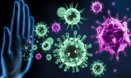 Сушените плодове имат противовирусни и подкрепящи имунната система свойства 1 image