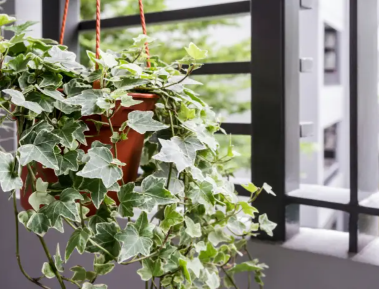 Screenshot 25202024 02 10 2520175113