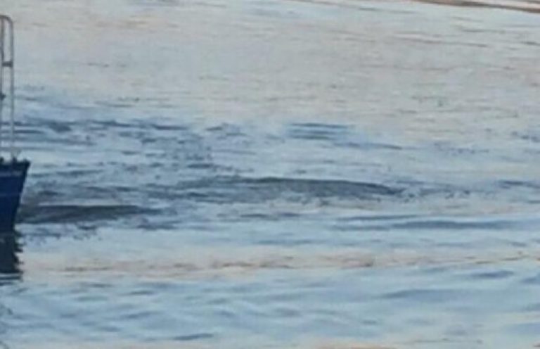 Моторна лодка и круизен кораб са се сблъскали по Дунав, има жертви Моторна-лодка-и-круизен-кораб-са-се-сблъскали-по-Дунав,-има-жертви