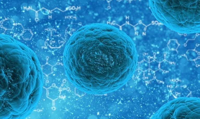 Вирусът-на-шамара-настъпва-и-в-България