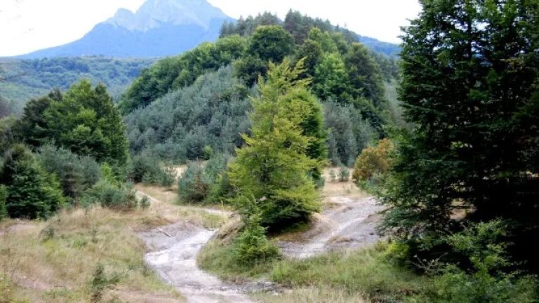 Два-инцидента-в-планината:-Турист-е-починал-след-падане