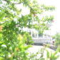 DSC 0404